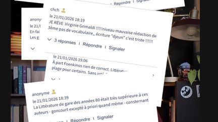 Morgane Moncomble a vendu plus de 800.000 livres en 2025, alors qu'elle n'a sorti aucun roman cette ann&eacute;e-l&agrave;. (CAPTURE D'&Eacute;CRAN TIKTOK / @BASILIC.TROPICAL)