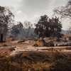 Des habitations d&eacute;truites par les flammes en Gironde, le 25 juillet 2026. (DAVID SEPEAU / HANS LUCAS / AFP)